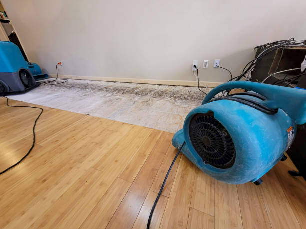 Professional Water Damage Repair technician working in Pomona, NY